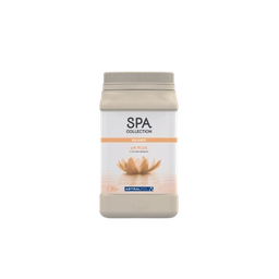 [onl136057] Booster de pH pour Spa 1 Kg